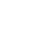 Wisedigital ikoon